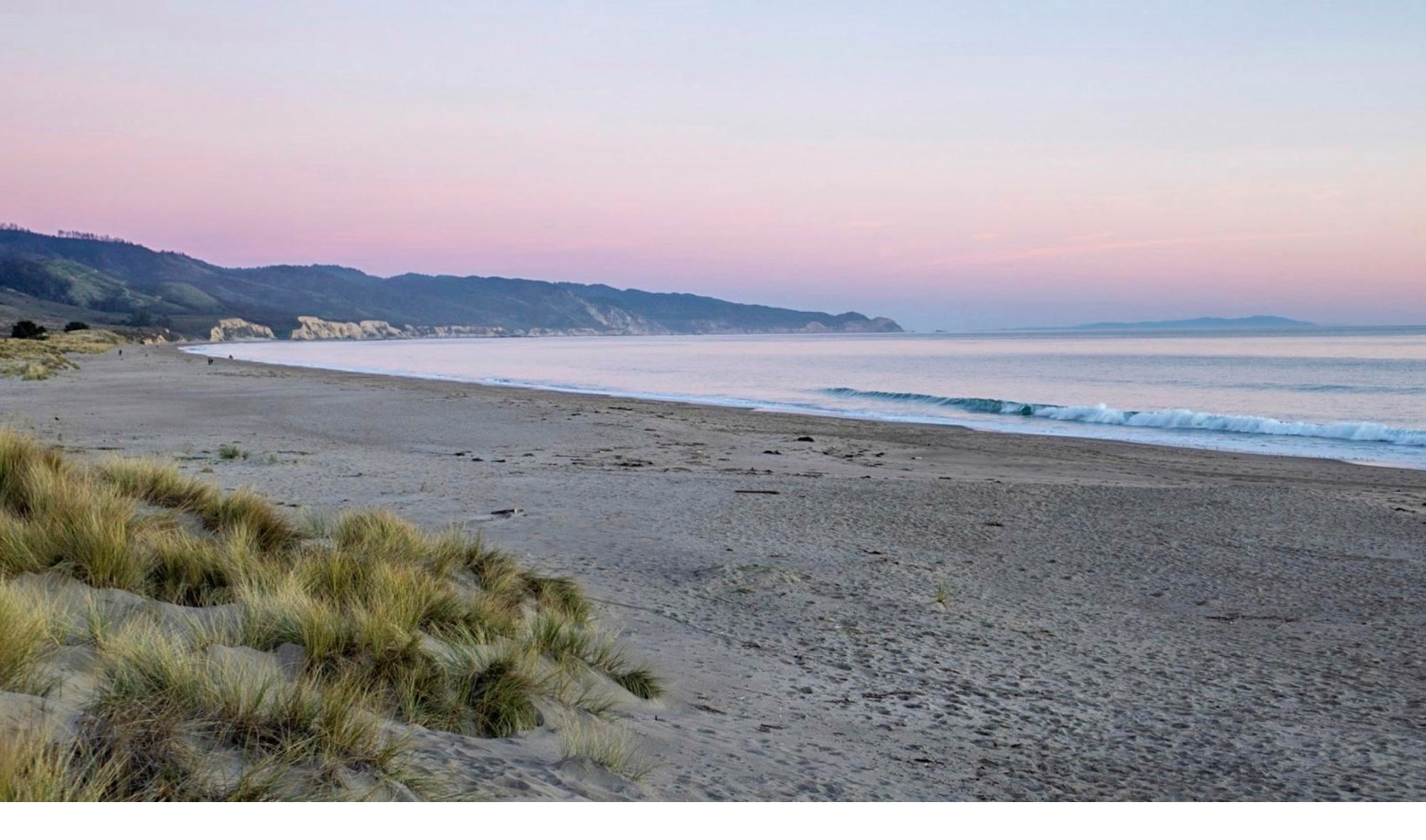 Limantour Beach.